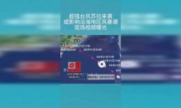 台风苏拉最新爆料视频大全,视频大全直击现场，揭秘风雨中的惊心动魄