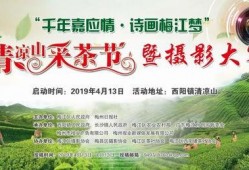 梅州最新爆料消息今天,揭秘当地热点事件背后的真相！”