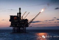 南非大炮爆料最新消息,揭秘重大国际事件内幕