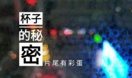 山东饭店爆料视频最新版,揭露惊人内幕，真相令人震惊！