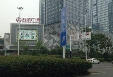 合肥天鹅湖最新爆料电话,神秘电话揭开生态保护区新篇章